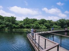 -济州森林小火车生态公园