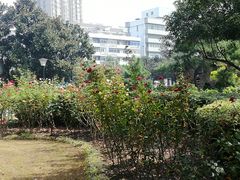 -常州古运河南大街文化旅游区-人民公园