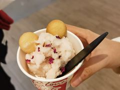 -莉莉熊Lililove Gelato (意大利手工冰淇淋)