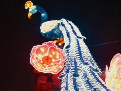 -洛阳市隋唐城遗址植物园