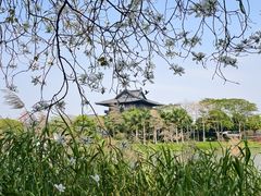 -海珠湖公园