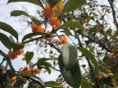 -九里河湿地公园