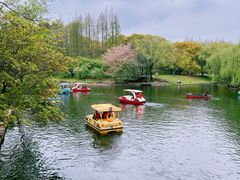 -上海共青森林公园