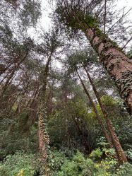 点击看大图 -尚圣月子会所·庄园式月子中心(萧山湘湖店)