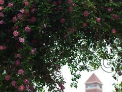 -上海交通大学(闵行校区)