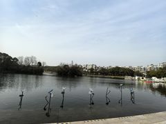 -新江湾城公园