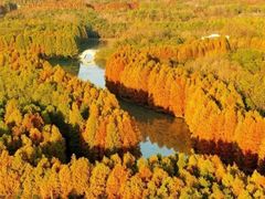 -上海海湾国家森林公园