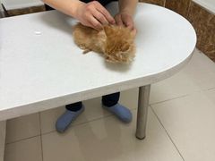 -美联众合24小时·皮肤科·外科·全科诊疗中心(华苑分院)