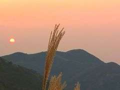 -大围山国家森林公园