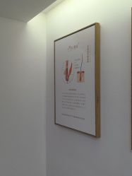 -熙朵美学植发连锁