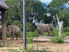 -清迈夜间动物园