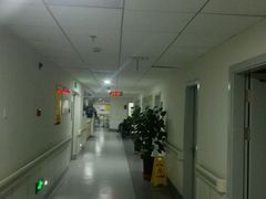 -上海市普陀区中心医院