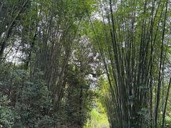 -广州市白云山风景名胜区