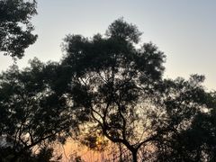 -梧桐山风景名胜区