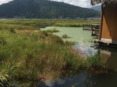 -腾冲北海湿地
