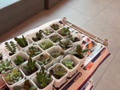 -京鹿料理(荟聚店)