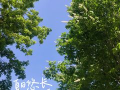 -北坞公园