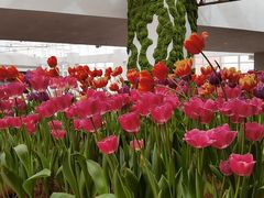 -渡娘火锅(大兴大悦春风里店)