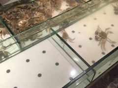 -星伦多自助料理(华润万象城店)