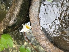 -客家大院·非遗赣南客家菜(郁孤台店)