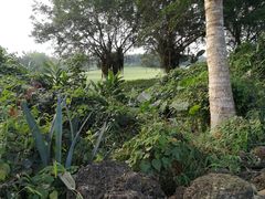 -清水湾3号(东方小周海鲜店)