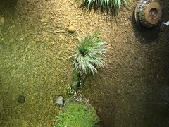 -几荷·恰似故人来(秀水广场店)
