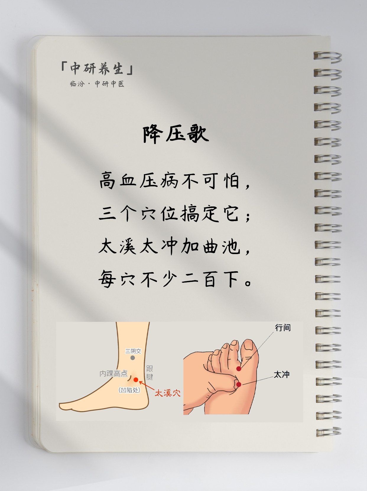 中医降血压养生小秘诀✨