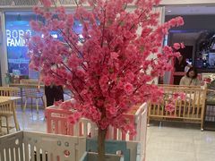 -柴犬小屋·柴餐厅·狗咖食堂(金鼎广场店)