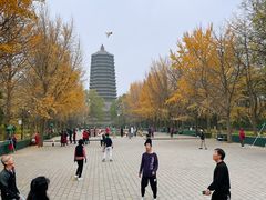 -玲珑塔公园