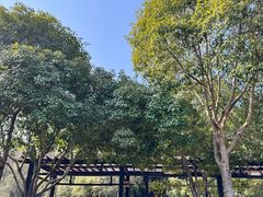 -三江森林温泉度假区