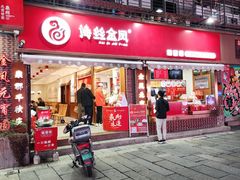 -海丝金凤(金鱼店)