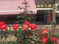 门面-蘑统田下·野生菌火锅