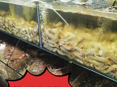 -来之顺海鲜菜馆·青岛菜(栈桥店)