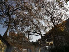 -1912街区