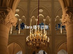 -巴黎圣母院