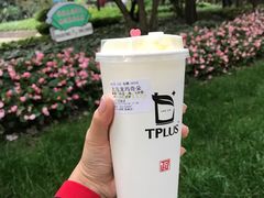 -TPLUS茶家(淮海店)