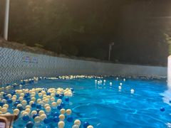 -杭州浪浪浪水公园
