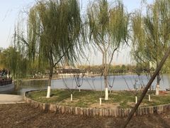 -西海子公园