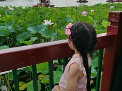 -后海公园