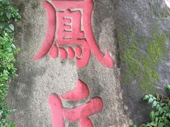 凤丘-牛岗山公园