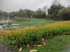-映月湖公园