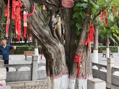 -尧庙景区