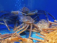 -阿伟海鲜楼·福建菜(延寿店)