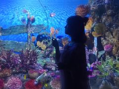 -暹罗海洋世界