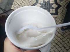 -洪馨椰子
