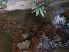 -赤水丹霞旅游区·佛光岩