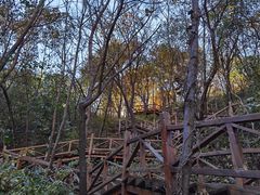 -大岭沟猕猴桃谷风景区