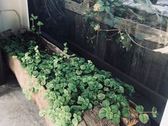 -無用生活空间(北京店)