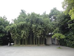 -上海市龙华烈士陵园