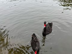 -石家庄市动物园